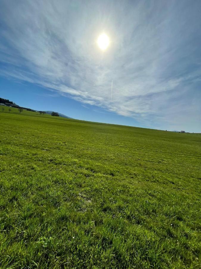 Hundefreundliche Unterkunft Im Muehlviertel In Oberoesterreich Freundorf ภายนอก รูปภาพ